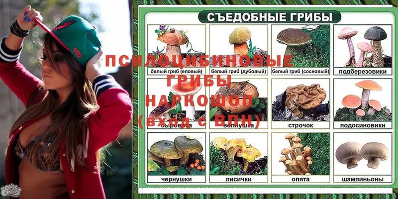 Галлюциногенные грибы Magic Shrooms  как найти   hydra как войти  Нефтекумск 